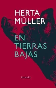 Herta Müller En tierras bajas обложка книги
