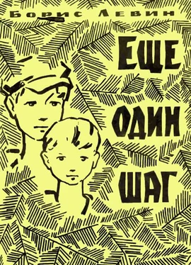 Борис Левин Еще один шаг обложка книги