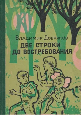 Владимир Добряков Две строки до востребования обложка книги