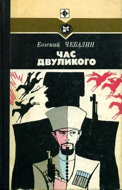 Евгений Чебалин Час двуликого обложка книги