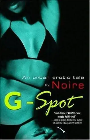Noire GSpot 2005 This book is dedicated to urban scribes far and wide - фото 1