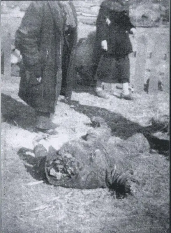 Фото 3 ЛИПНИКИ LIPNIKI уезд Костопол воеводство луцкое 26 марта 1943 - фото 5