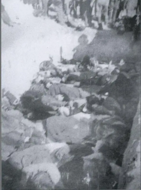 Фото 11 ЛИПНИКИ LIPNIKI уезд Костопол воеводство луцкое 26 марта 1943 - фото 12