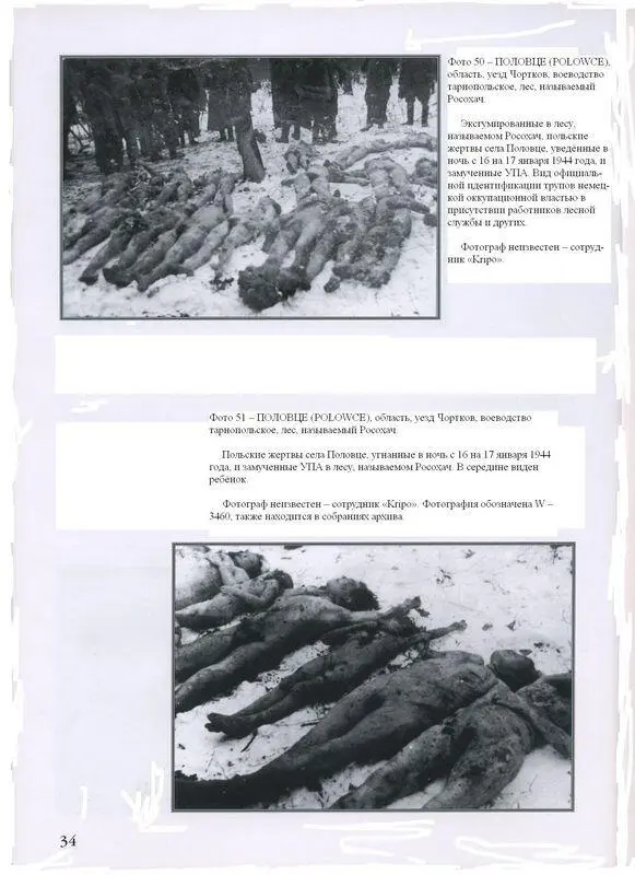 Фото 50 ПОЛОВЦЕ POOWCE область уезд Чортков воеводство тарнопольское - фото 29
