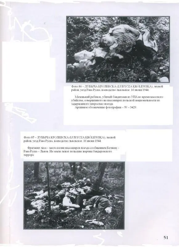 Фото 86 ЛУБЫЧА КРОЛЕВСКА LUBYCZA KRLEWSKA лесной район уезд Рава Руска - фото 40