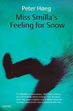 Peter Høeg Smilla's Sense of Snow aka Miss Smilla's Feeling for Snow обложка книги