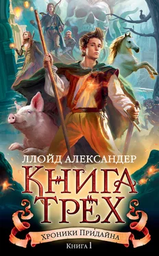 Ллойд Александер Книга Трех [litres] обложка книги