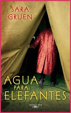 Sara Gruen Agua para elefantes обложка книги