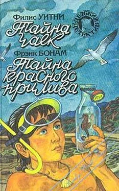 Филлис Уитни Тайна чаек обложка книги