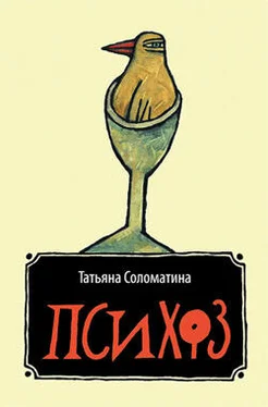 Татьяна Соломатина Психоз обложка книги