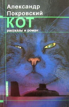 Александр Покровский Кот (сборник) обложка книги