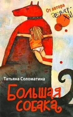 Татьяна Соломатина Большая собака обложка книги