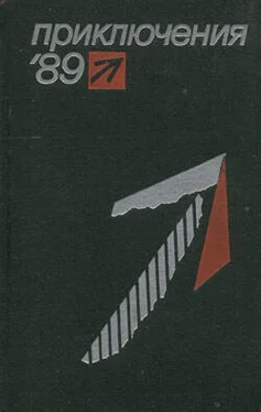 Василий Викторов Приключения 1989 обложка книги