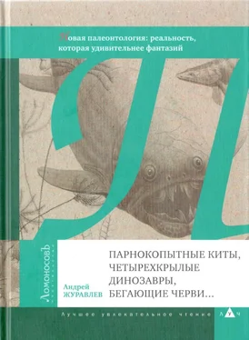 Андрей Журавлёв Парнокопытные киты, четырехкрылые динозавры, бегающие черви... обложка книги