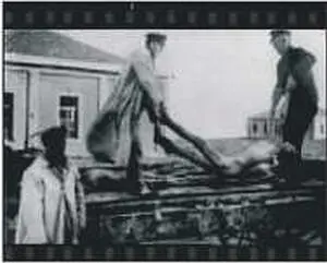 Фотография из газеты Volkoscher Beobahter выдается за снимок жертв голодомора - фото 5