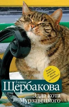 Галина Щербакова Эдда кота Мурзавецкого (сборник) обложка книги