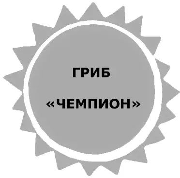 7 ГРИБ ЧЕМПИОН Жили были три поросенка звали их как в книжке НифНиф - фото 20