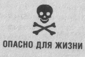 Хочу выразить искреннюю благодарность Диане за восхитительно проведенное время - фото 1