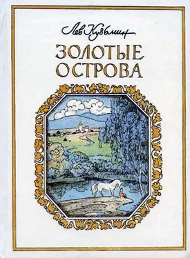 Лев Кузьмин Золотые острова обложка книги