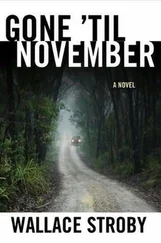 Wallace Stroby - Gone 'Til November