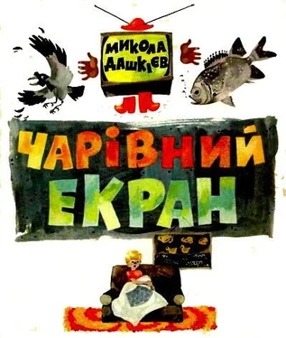Николай Дашкиев Чарівний екран обложка книги