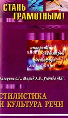 А. Милюк - Стилистика и культура речи - учебное пособие по русскому языку