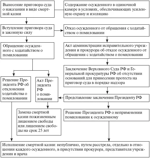 Рис 10 Порядок исполнения наказания в виде смертной казни Территориальный - фото 19