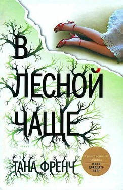 Тана Френч В лесной чаще обложка книги