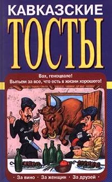 Олег Запивалин Кавказские тосты обложка книги