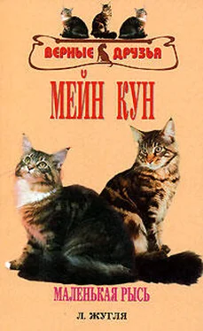 Л. Жугля Мейн кун обложка книги