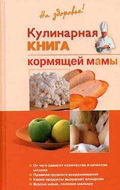 Галина Дядя Кулинарная книга кормящей матери обложка книги