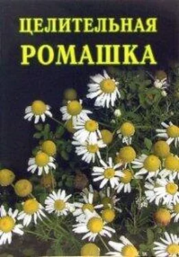 Иван Дубровин Целительная ромашка обложка книги