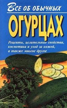 Иван Дубровин Все об обычных огурцах обложка книги