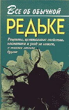 Иван Дубровин Все об обычной редьке обложка книги