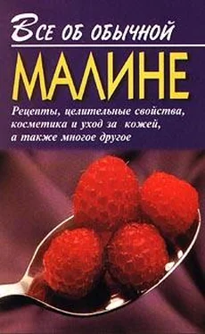 Иван Дубровин Все об обычной малине обложка книги