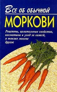 Иван Дубровин Все об обычной моркови обложка книги