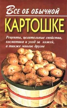 Иван Дубровин Все об обычной картошке обложка книги