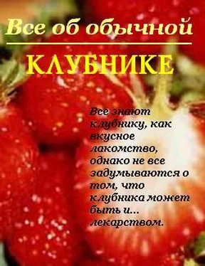 Иван Дубровин Все об обычной клубнике обложка книги