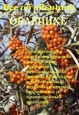 Иван Дубровин Все об обычной облепихе обложка книги