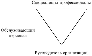 Рис 53 Гибкая оргструктура Такие оргсруктуры могут использоваться там где - фото 68