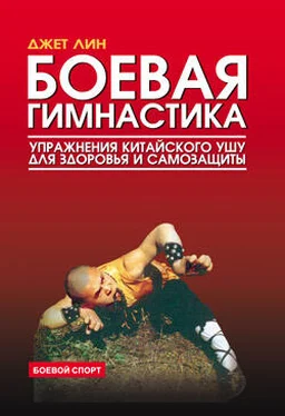 Джет Лин Боевая гимнастика. Упражнения китайского ушу для здоровья и самозащиты обложка книги