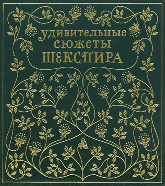 Эдит Несбит Удивительные сюжеты Шекспира обложка книги