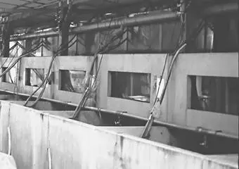 Биофильтры расположены выше уровня водоемов Вода из биофильтра возвращается - фото 25