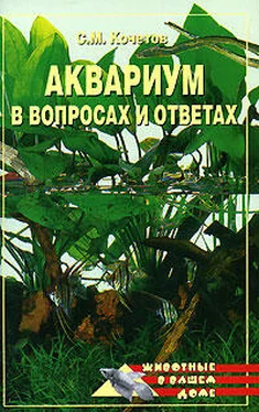 Сергей Кочетов Аквариум в вопросах и ответах обложка книги