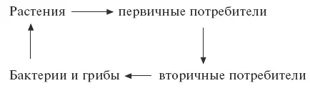 Экология показала что живой мир не простая совокупность существ а единая - фото 1