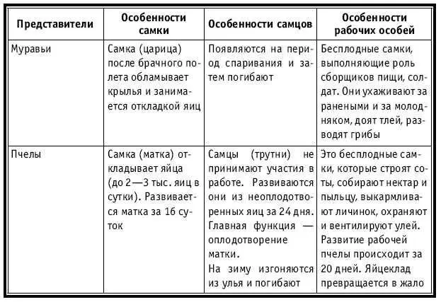 Насекомые таблица - справочник Mohs.ru