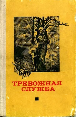 Эрхард Дикс Тревожная служба. Сборник рассказов обложка книги