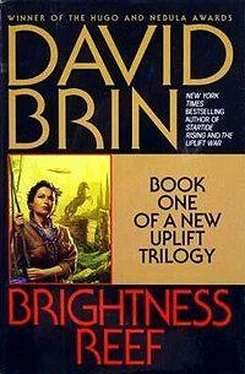 David Brin Brightness Reef обложка книги