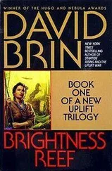 David Brin - Brightness Reef