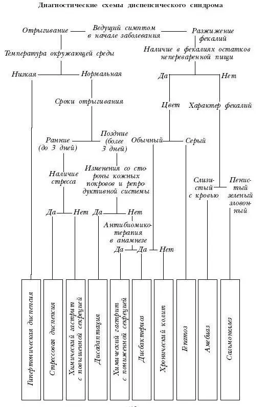 Зачастую поставить правильный диагноз заболевшей черепахе помогает только - фото 88